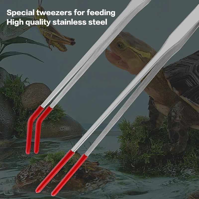 Stainless steel feeding pliers for reptiles - ProPawPet.com