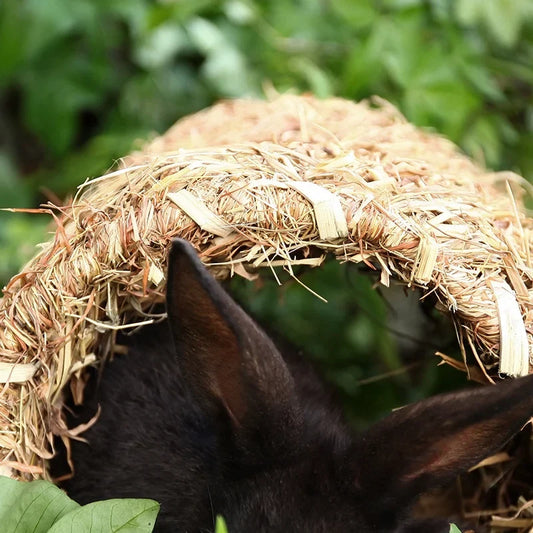 A74E-Grass House Tunnel Hutch Woven Hut For - ProPawPet.com