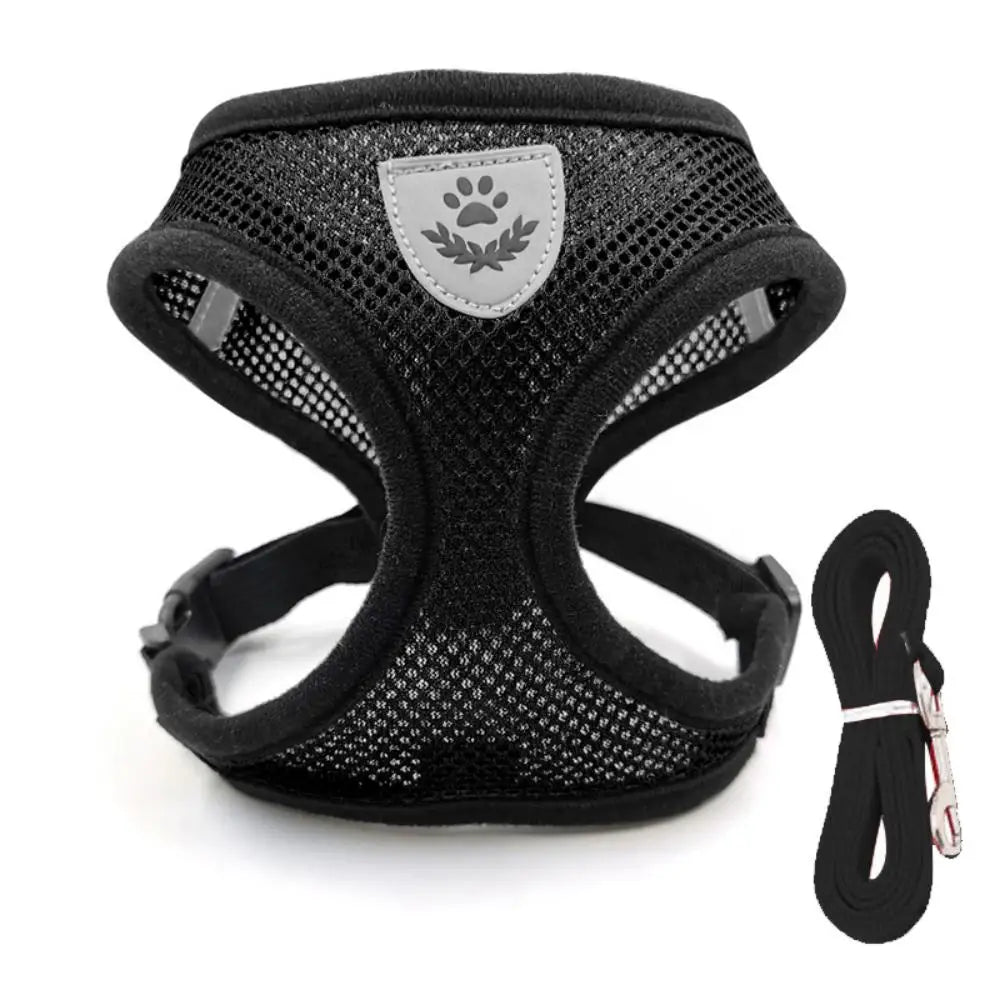Safe Premium Adjustable Cat Harness and - ProPawPet.com