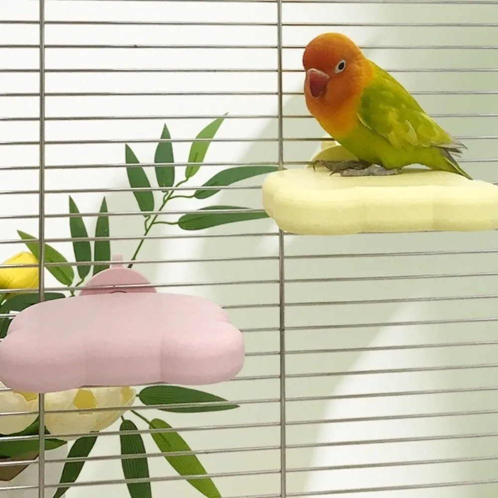Detachable Pumice Parrot Stand Bite - ProPawPet.com
