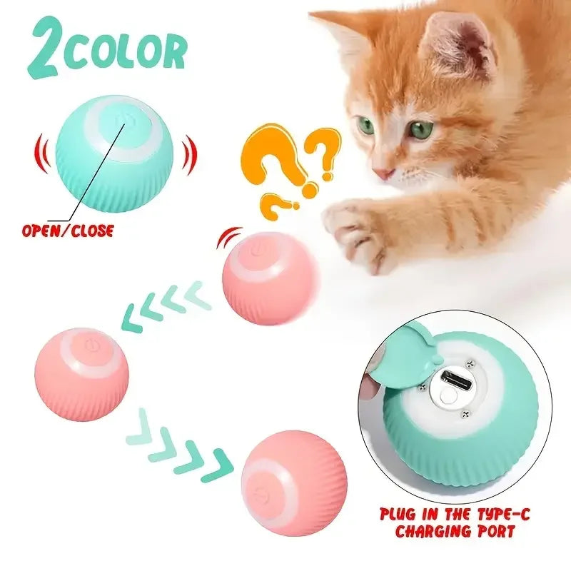 Cat Interactive Ball Electric Automatic - ProPawPet.com