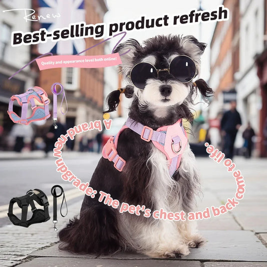 Dog Harness and Leash Set Breathable Mesh - ProPawPet.com
