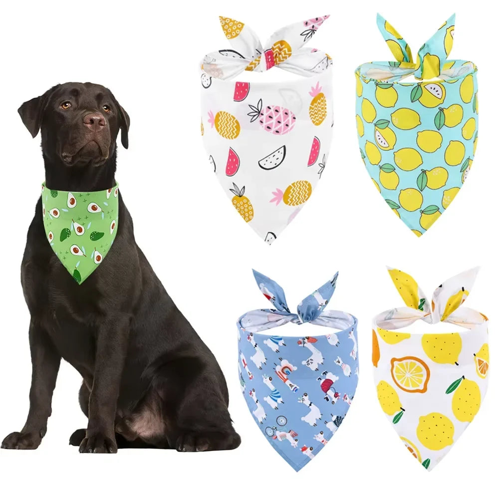Dog Bandana Fruit Floral Spring Washable - ProPawPet.com