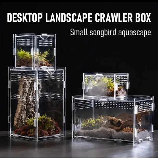 Reptile Acrylic Transparent Terrarium - ProPawPet.com