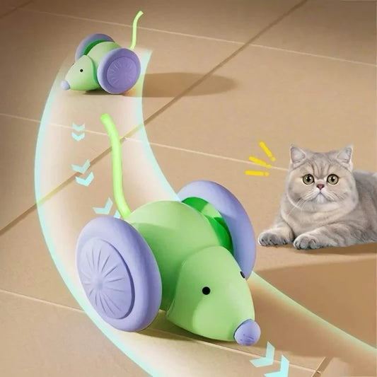 Electric Mouse Car Interactive Cat Toy - ProPawPet.com