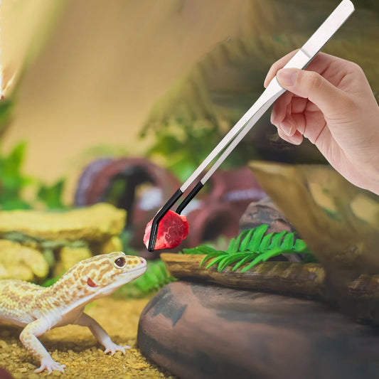 Stainless Steel Reptile Feeding Long Tongs - ProPawPet.com