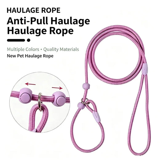 160cm Lightweight Nylon Round Rope Dog Slip - ProPawPet.com
