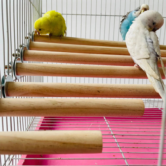 Parrot Pet Raw Standing Stick Wood Hanging - ProPawPet.com