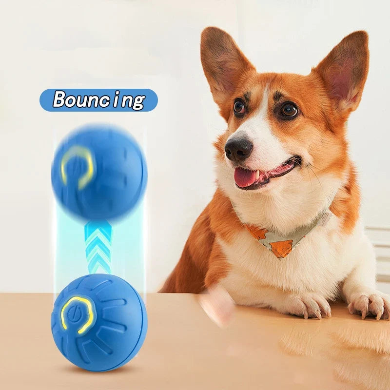 Cat Interactive Bouncing Ball Smart Cat Toys - ProPawPet.com