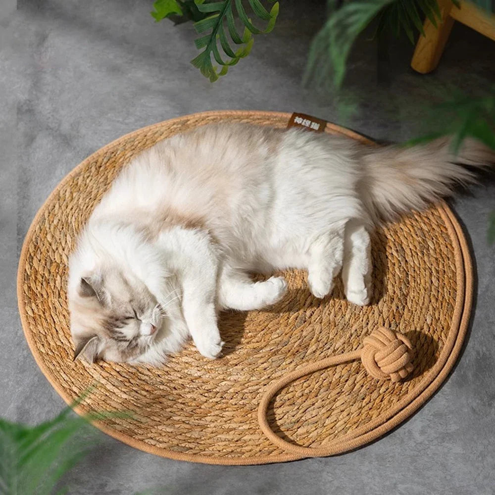 Cat Scratcher Rattan Mat Board Cat Scratch - ProPawPet.com