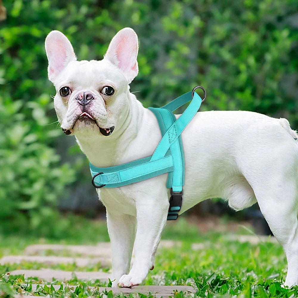 Nylon Dog Harness No Pull Dog Harnesses Vest - ProPawPet.com