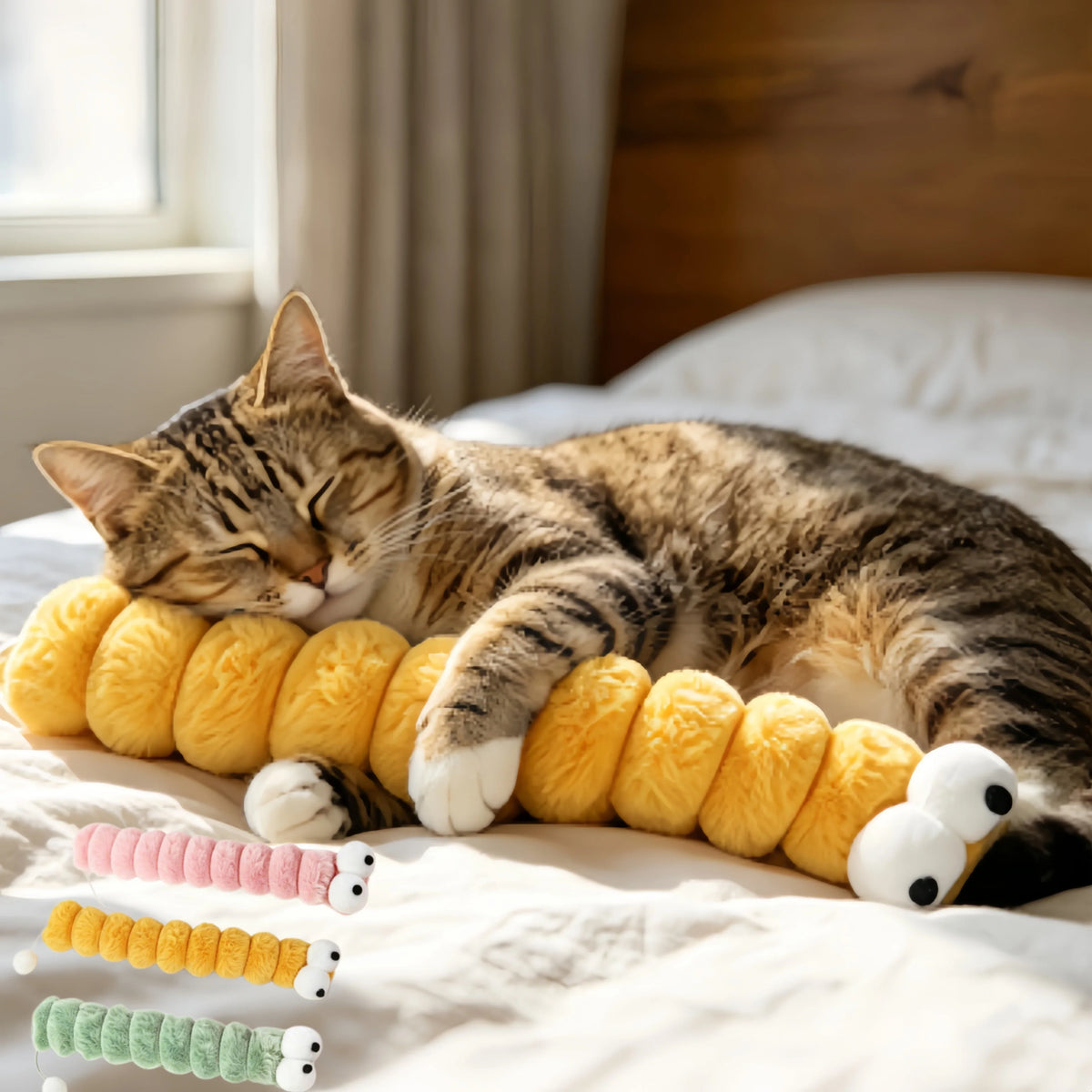 Cute Big-Eyed Caterpillar Cat Toy: Soft - ProPawPet.com