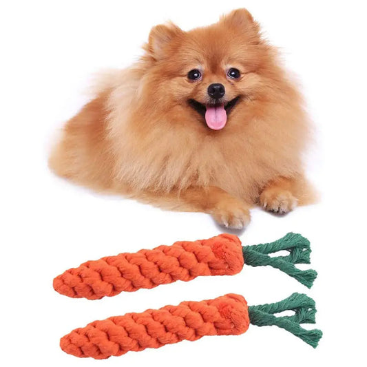 1/2/3pc Dog Chew Toys Cartoon Carrot Shape - ProPawPet.com