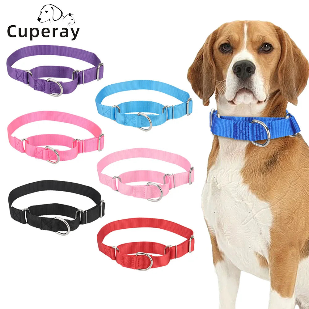 Martingale Collar for Dogs，Dog Collar with - ProPawPet.com