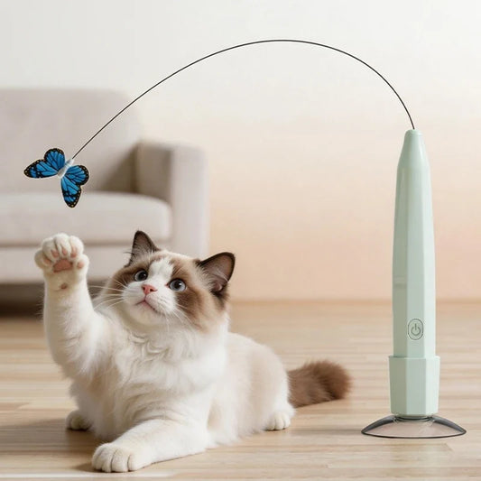Electric Butterfly Flying Cat - ProPawPet.com