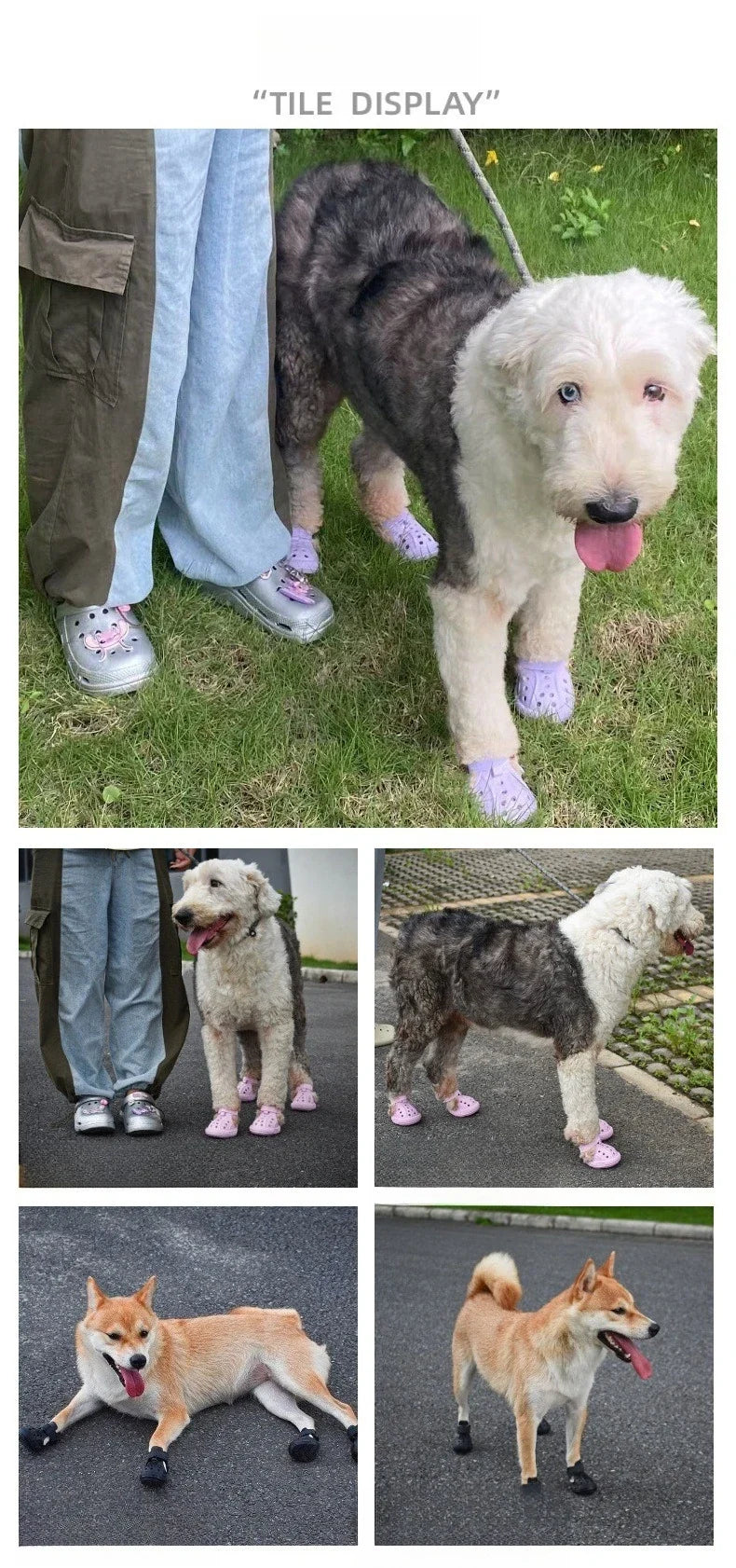 Pet Dog Outgoing Shoes Corgi Hole Shoes - ProPawPet.com