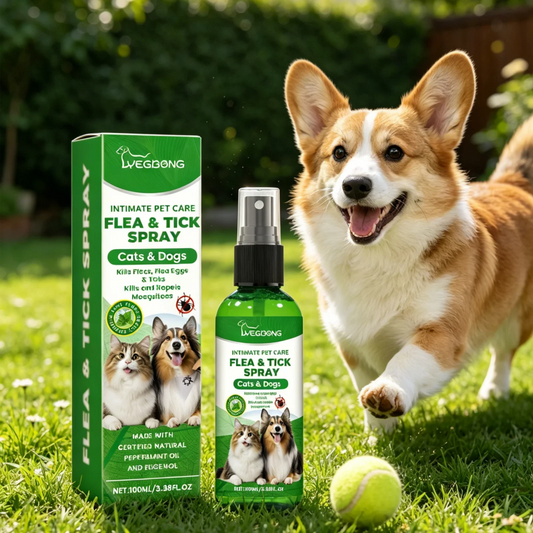 YEGBONG Flea Tick Spray Effective Insect - ProPawPet.com