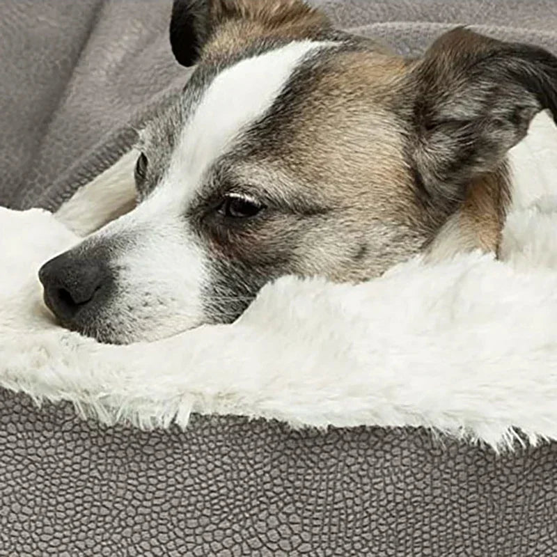 Orthopedic Dog Bed Ma Washable with Hooded - ProPawPet.com