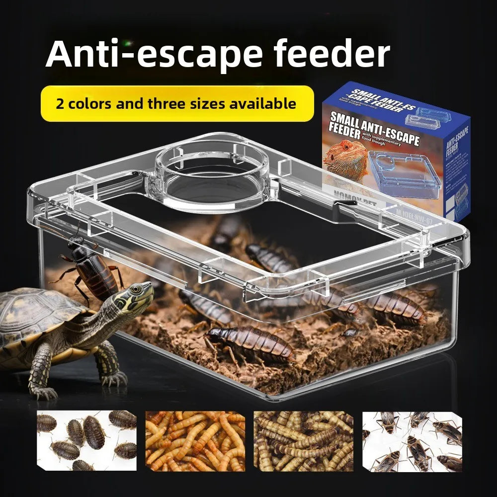 Reptile Lizards Geckos Feeding Bowls Anti - ProPawPet.com
