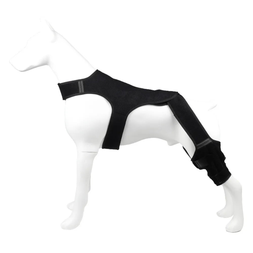 Adjustable Dog Rear Leg Brace Reflective - ProPawPet.com