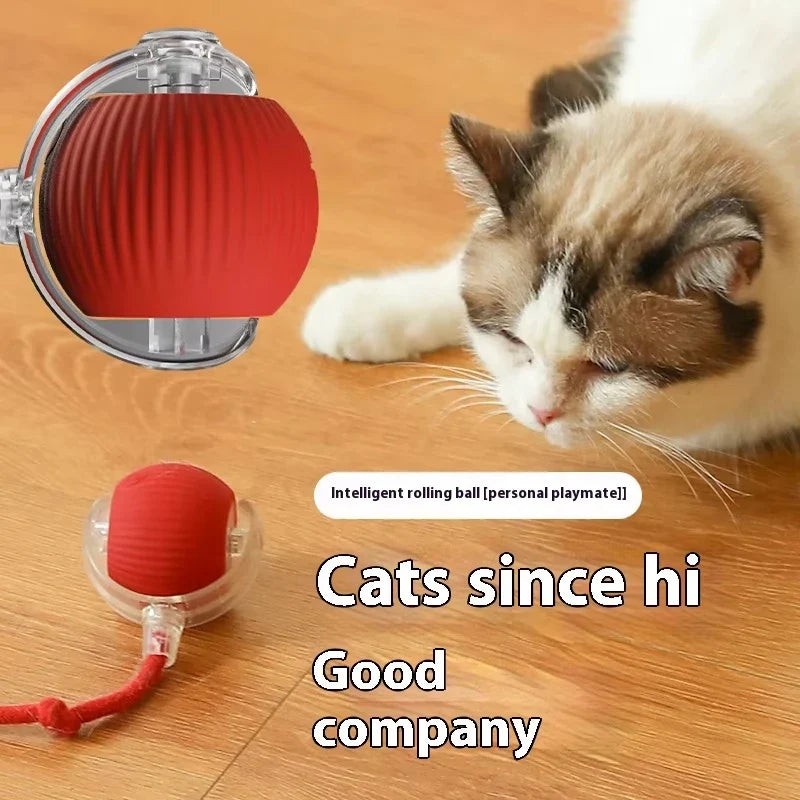 Dog Interactive Ball Toy Automatic Rolling - ProPawPet.com