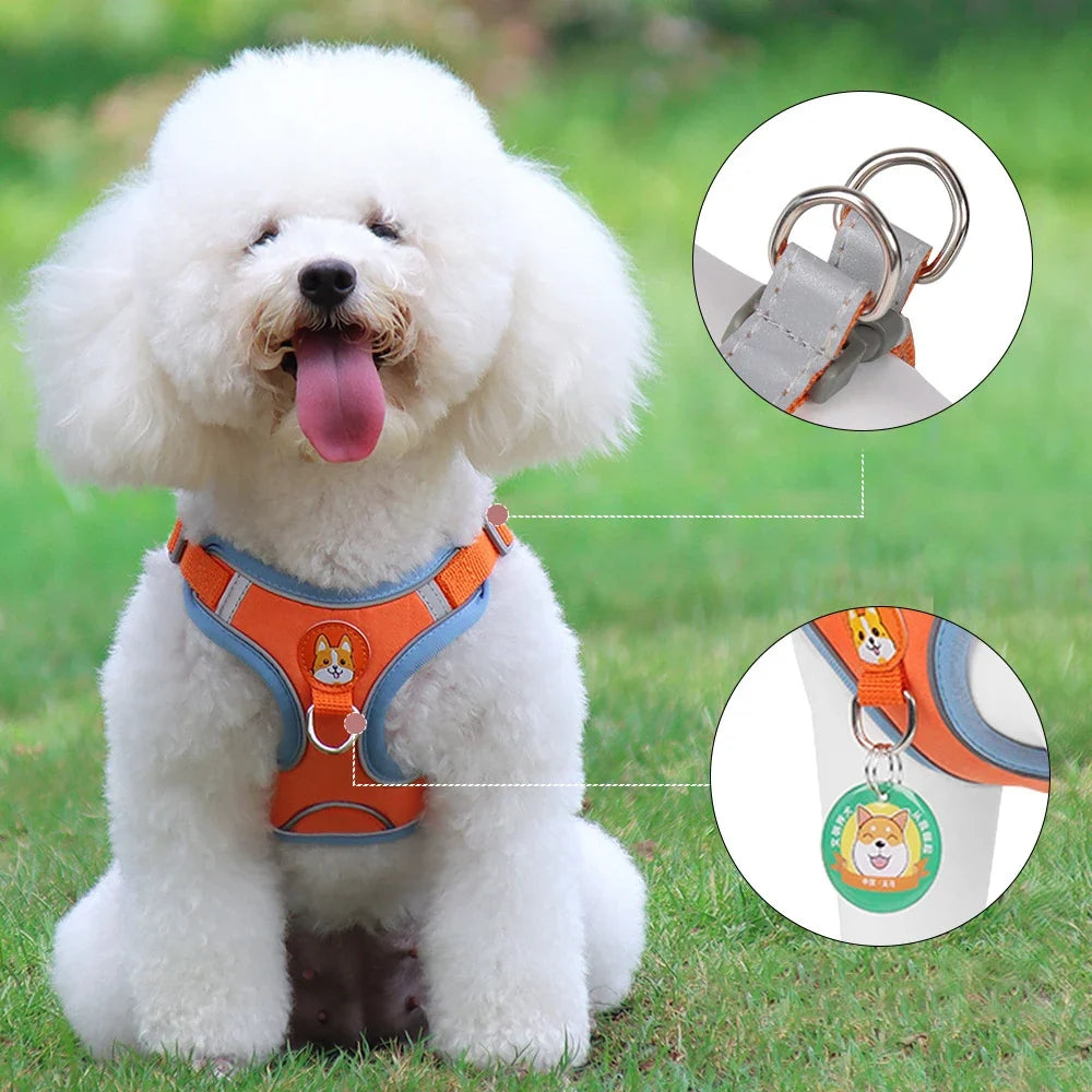 Cat Harness Small Dog Leash Pomeranian Puppy - ProPawPet.com