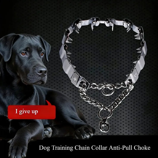 30-64CM Stainless Steel Dog Training Chain - ProPawPet.com
