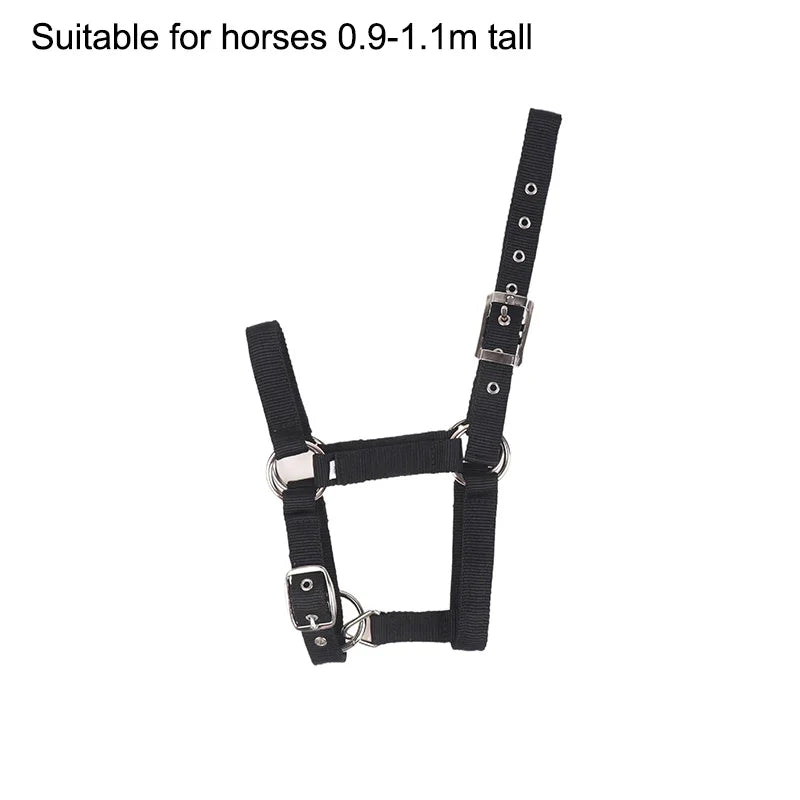 Adjustable Nylon Webbing Equestrian Western Horse Halter – 5 Colors