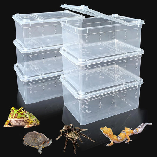 6pcs, Reptile Plastic Terrarium, Transport - ProPawPet.com