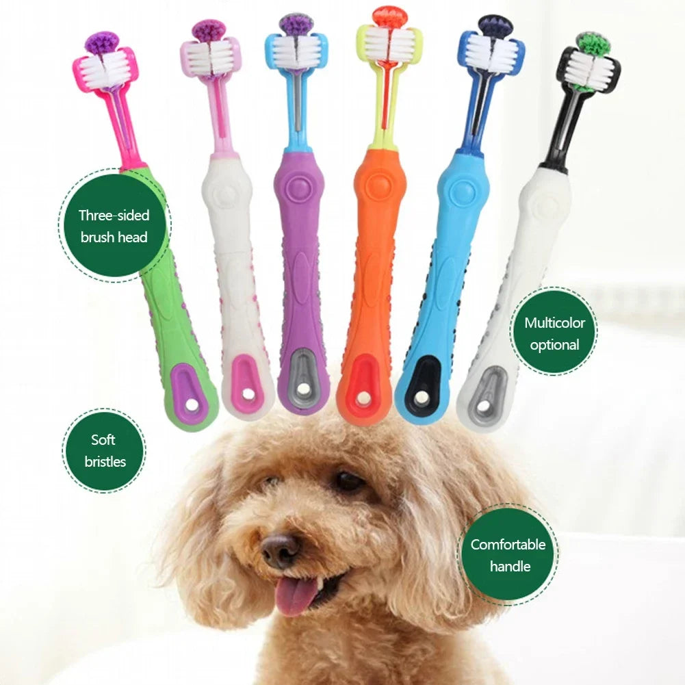 Three Sided Pet Toothbrush Three-Head - ProPawPet.com