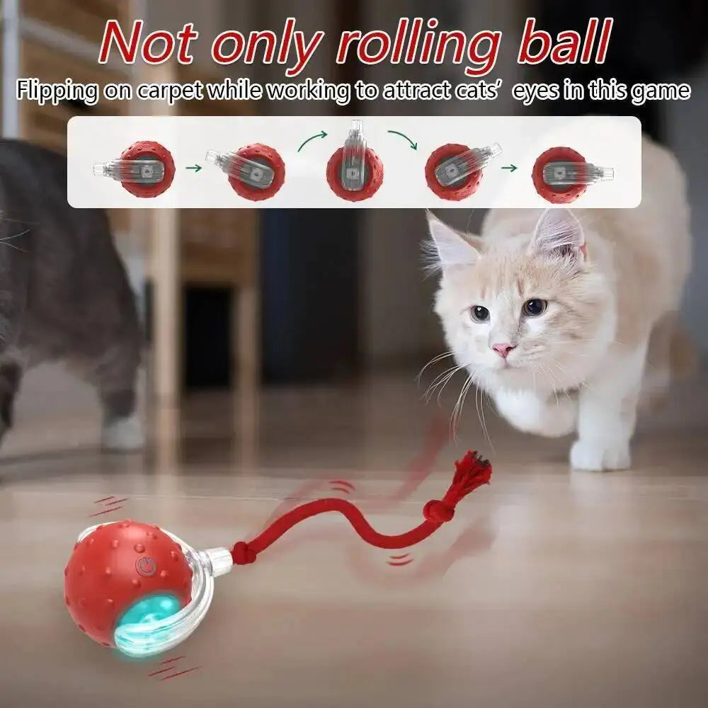 Interactive Cat Toy Ball with Bird Chirping - ProPawPet.com