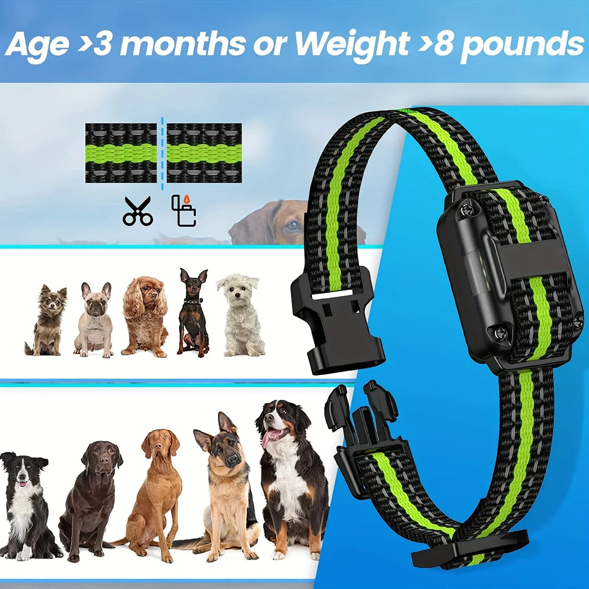 Dog Shock Collar with Remote, Dog Training - ProPawPet.com