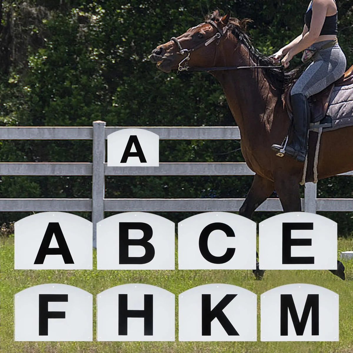 Lightweight Portable Dressage Letters Board - ProPawPet.com