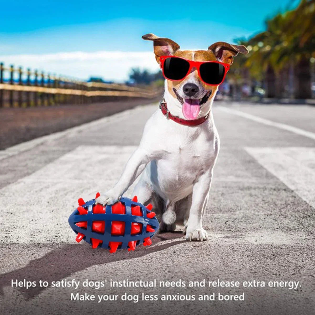 1/2Pcs Squeaky Dog Chew Toys Interactive - ProPawPet.com