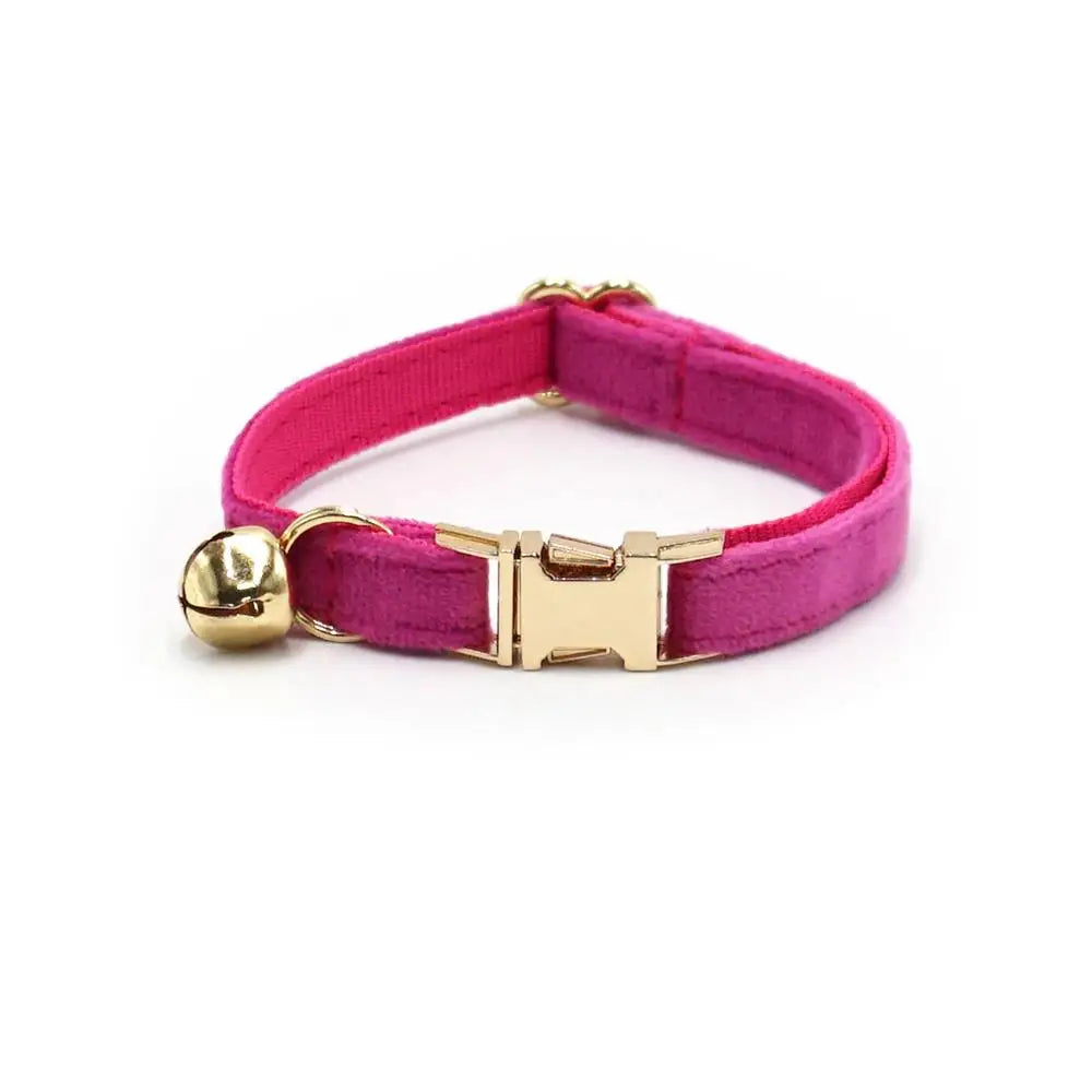 Free Engraving Customized Multicolor Soft - ProPawPet.com