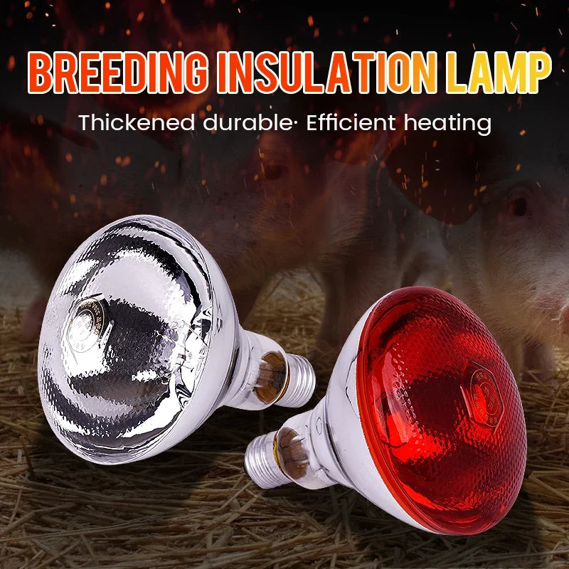220V Heating Light Bulb Poultry Reptile - ProPawPet.com