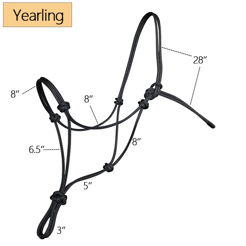 For Horses Style Training Halter Woven Horse - ProPawPet.com