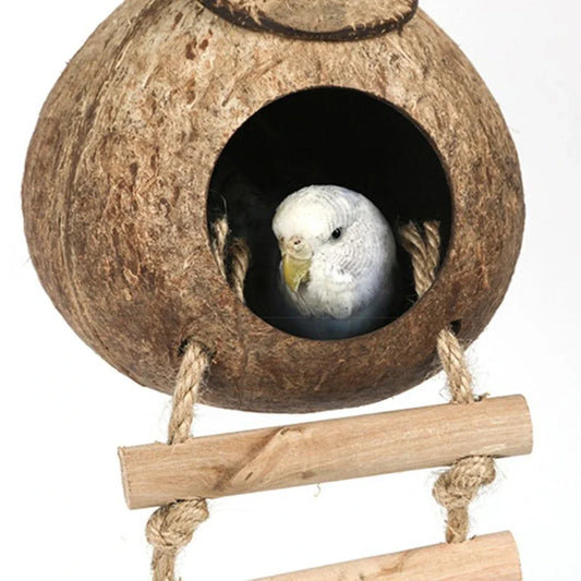 Coconut Bird Nest Hut With Ladder - ProPawPet.com