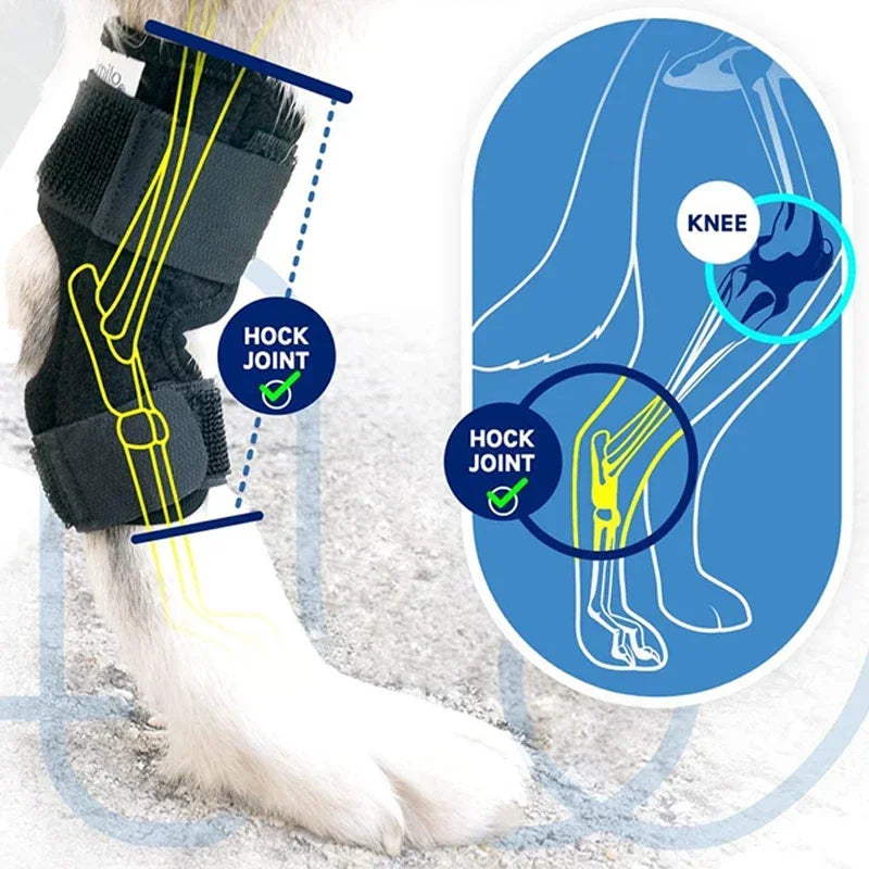 1Pair Pet Knee Pads Dog Arthritis Protector - ProPawPet.com
