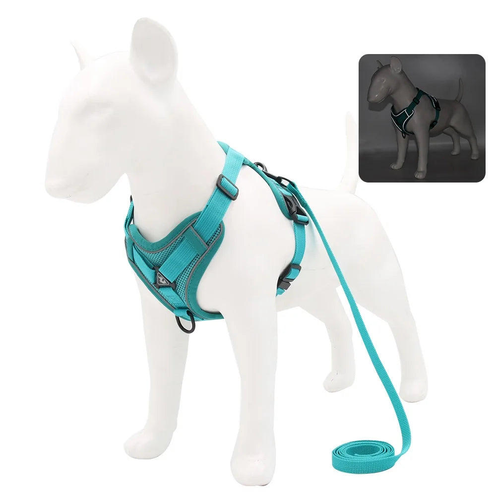 Harness and Leash Set Pet Accessories Dog - ProPawPet.com