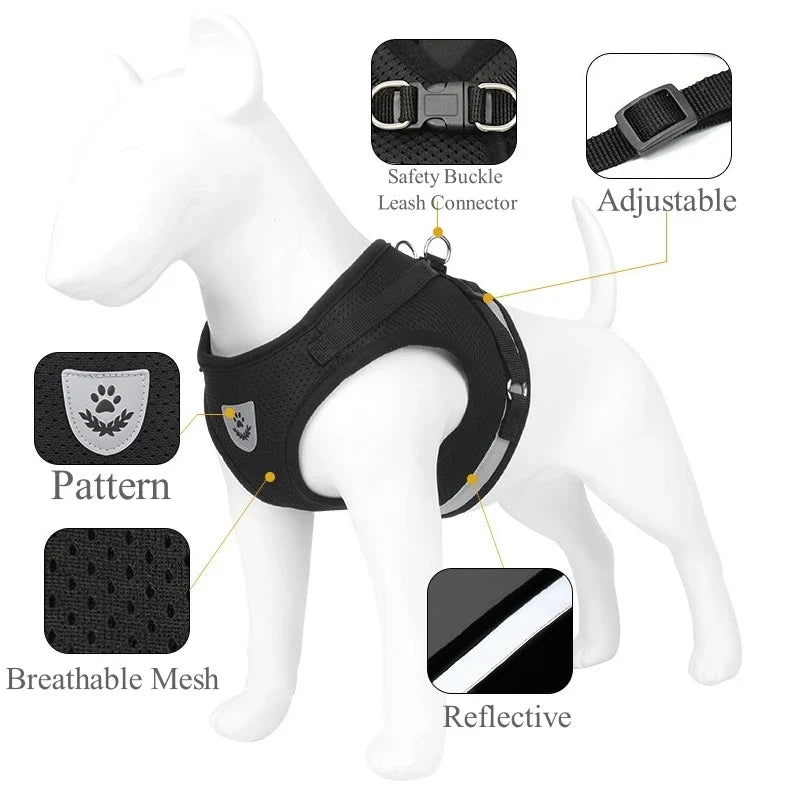 Adjustable Pet Dog Cat Harness and Leash Set - ProPawPet.com