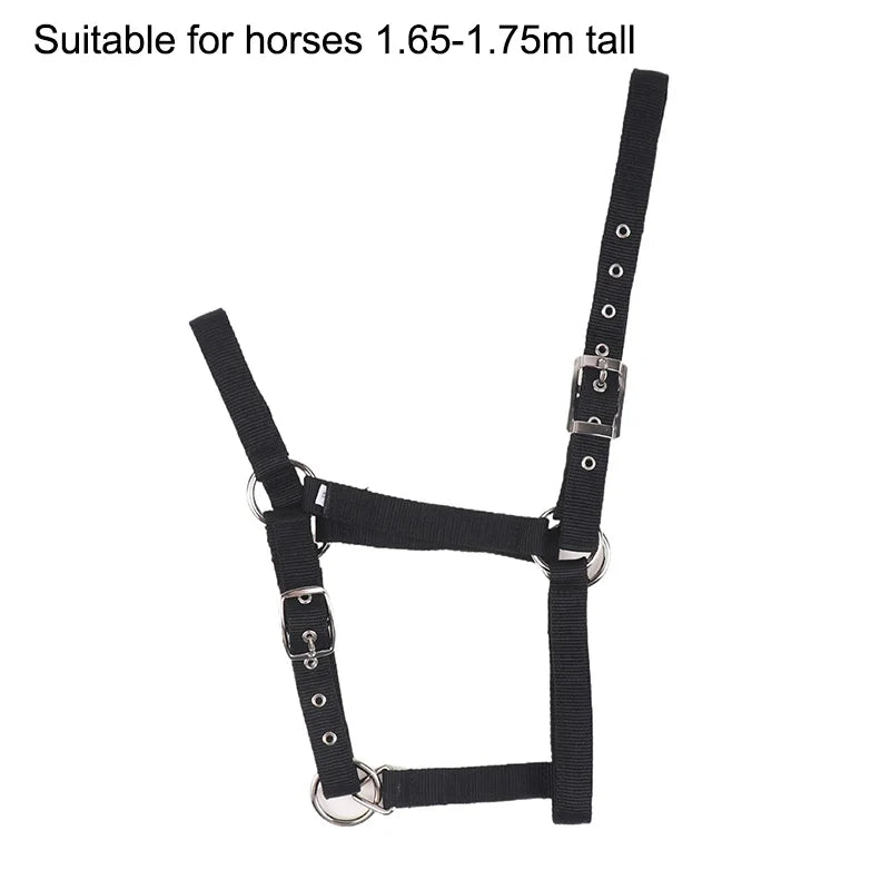 Adjustable Nylon Webbing Equestrian Western Horse Halter – 5 Colors