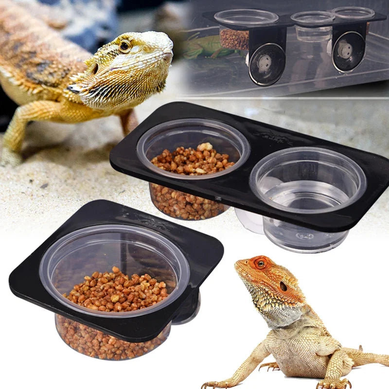 Reptile Feeder with Suction Cup Reptile - ProPawPet.com
