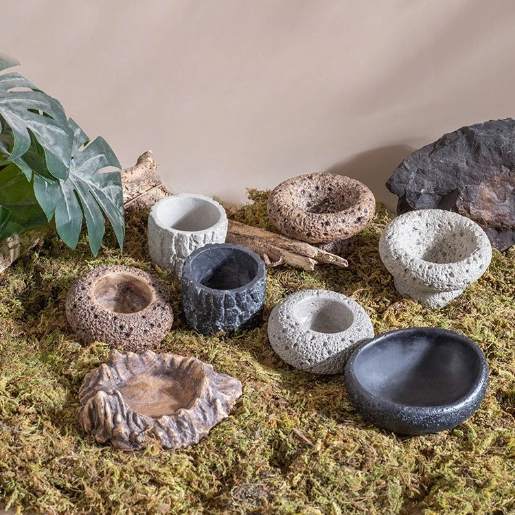 Natural Reptile Food & Water Dish - - ProPawPet.com