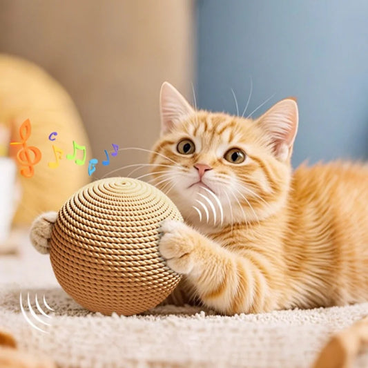 Large Sisal Cat Ball Toy, Interactive - ProPawPet.com
