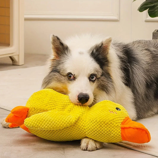 1pc Large Duck Design Pet Grinding Teeth - ProPawPet.com