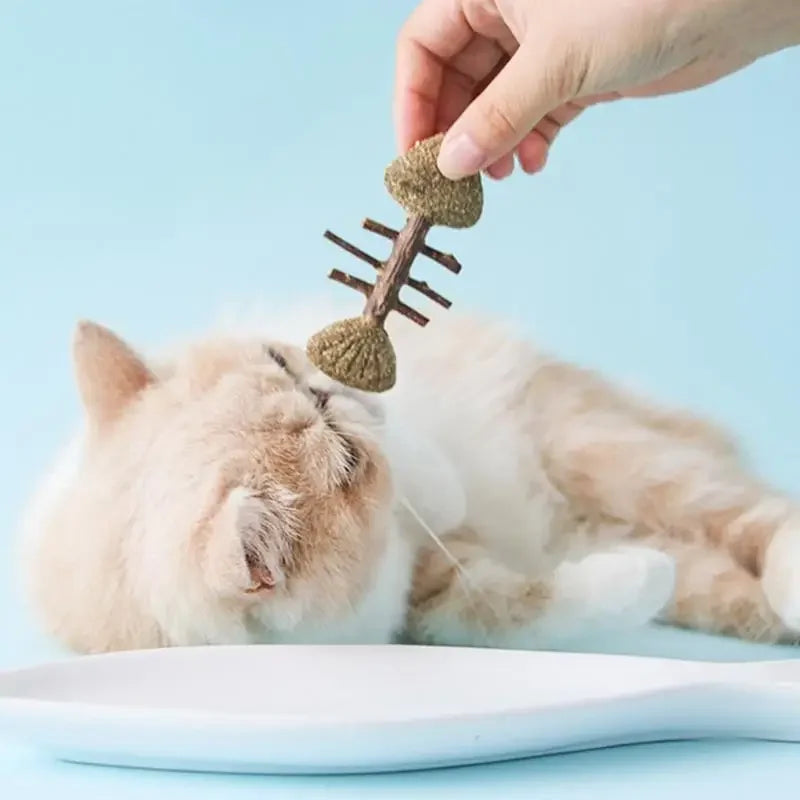 Catnip Toy Creative Fish Mouse Chew Bite - ProPawPet.com