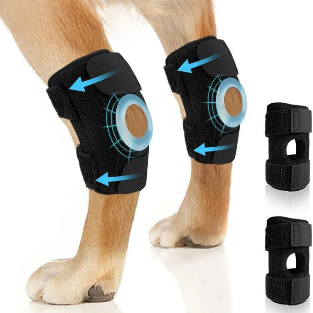 Dog Knee Pads Protector for Injury Recovery Breathable Support – Dog Supplies