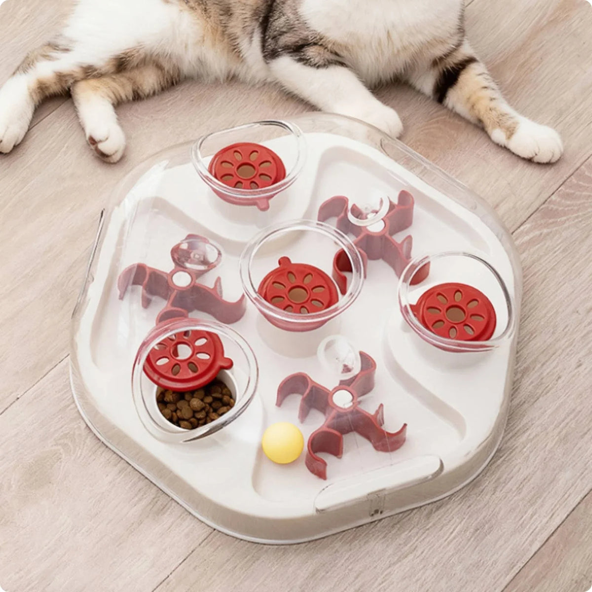 Interactive Feline Brain-teaser Plaything – Cat Toys & Play