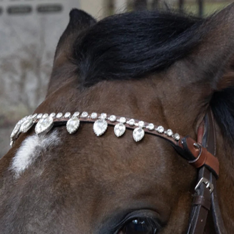 Beautiful Decorative Browband Horse Riding - ProPawPet.com
